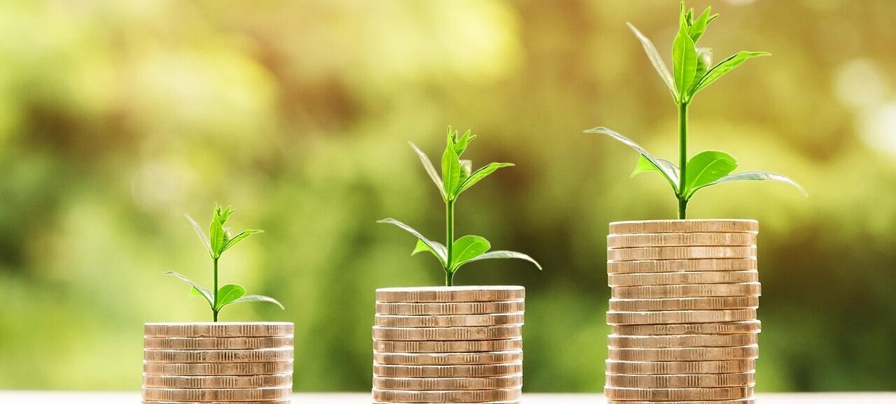 money, profit, finance, business, return, yield, financial, cash, currency, investment, banking, wealth, coin, economy, success, loan, salary, rich, credit, payment, savings, save, deposit, growth, income